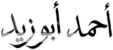 أحمد أبوزيد متجهي