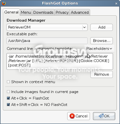 Screenshot-FlashGotOptions.png