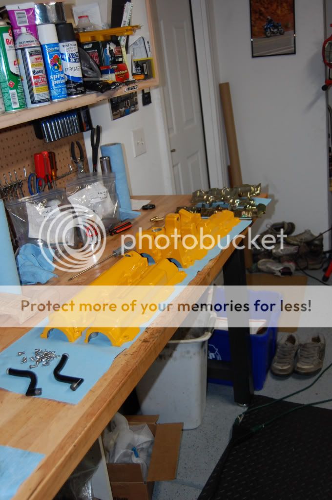 photo 45ead4721c23ae3f4ffcab487a4c1e4f.jpg