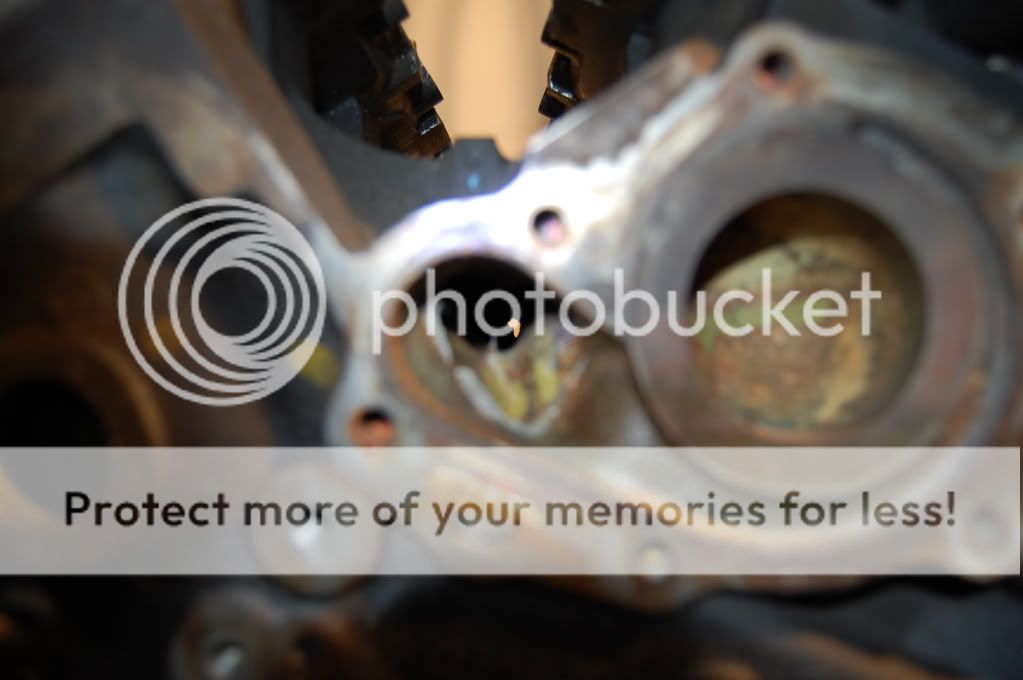 Photobucket Pictures, Images and Photos