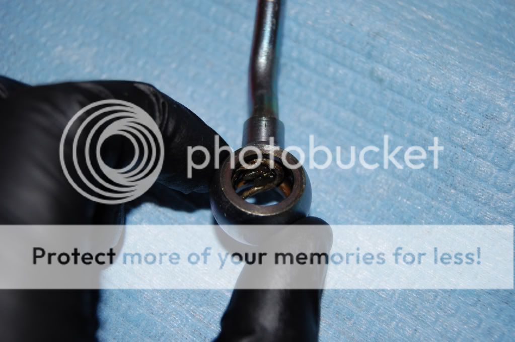 Photobucket Pictures, Images and Photos