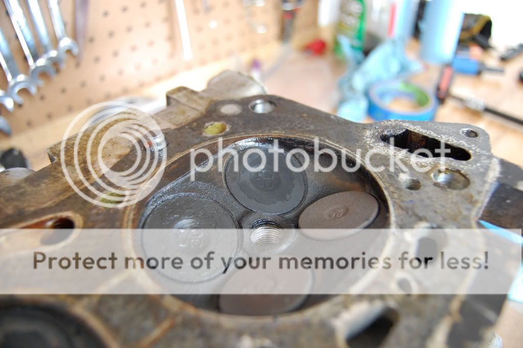 photo d78bf00d7be25f86a4ea140f1639b1f9.jpg