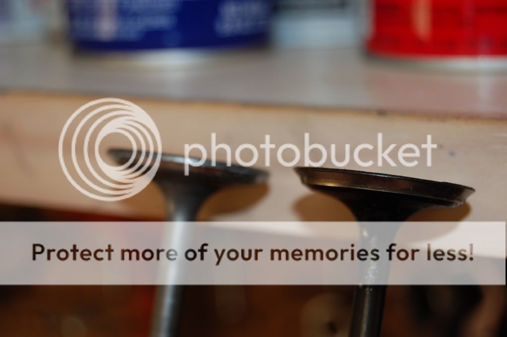 photo dda12673f914bd6e467b21b9b3ae23b3.jpg