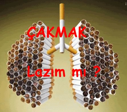 akmak2.gif