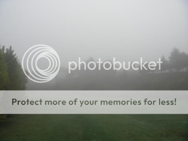 DSCN5388_zps0db6a492.jpg