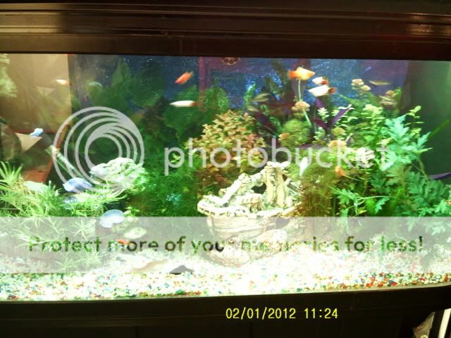Posted Image