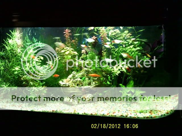 Posted Image