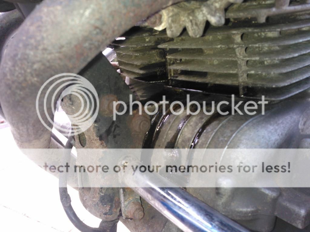 Where's this oil leak coming from? The Ultimate Honda SuperDream Forum