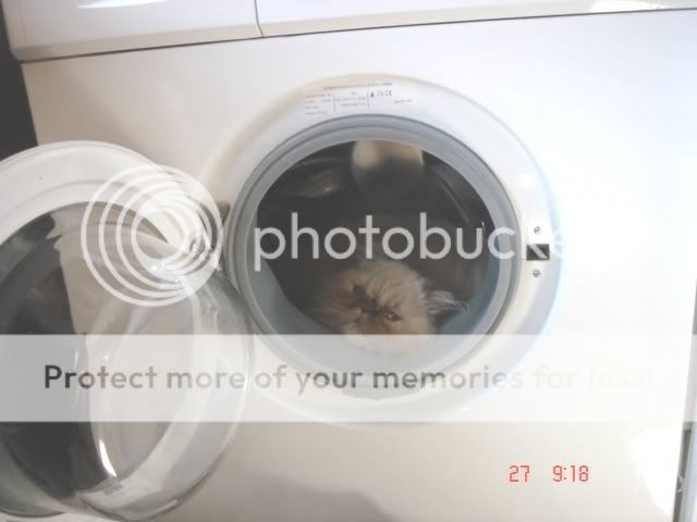 washingmachine.jpg