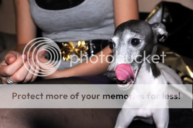Photobucket
