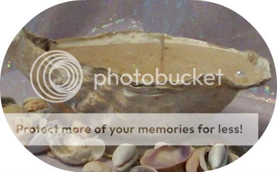 oystershell?t1237440168