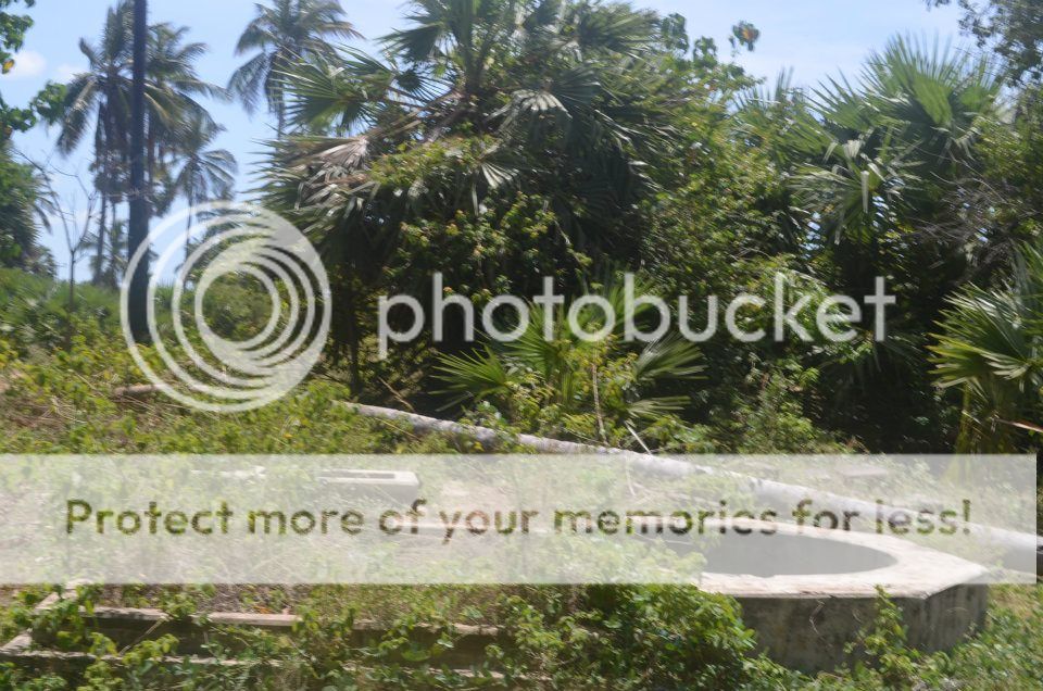 600051_10151033902413523_1948336081_n.jp