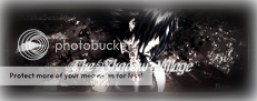 The Village Hidden In The Shadows (Shadimegakure) banner