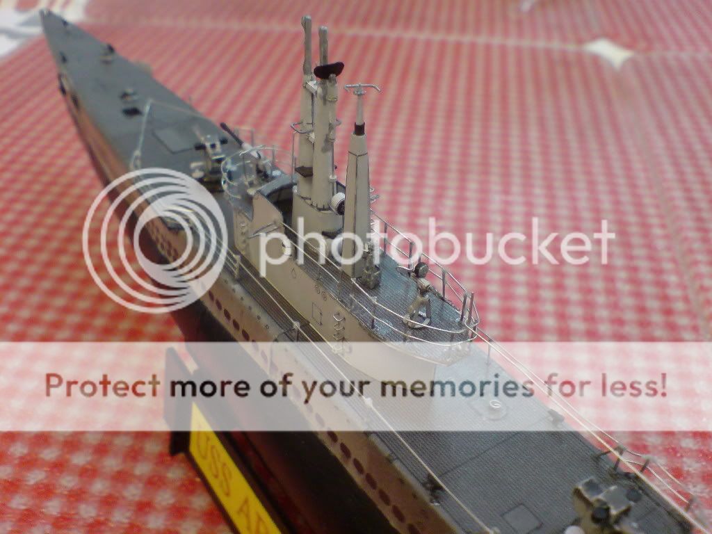 1200halinskiussarcherfishss311